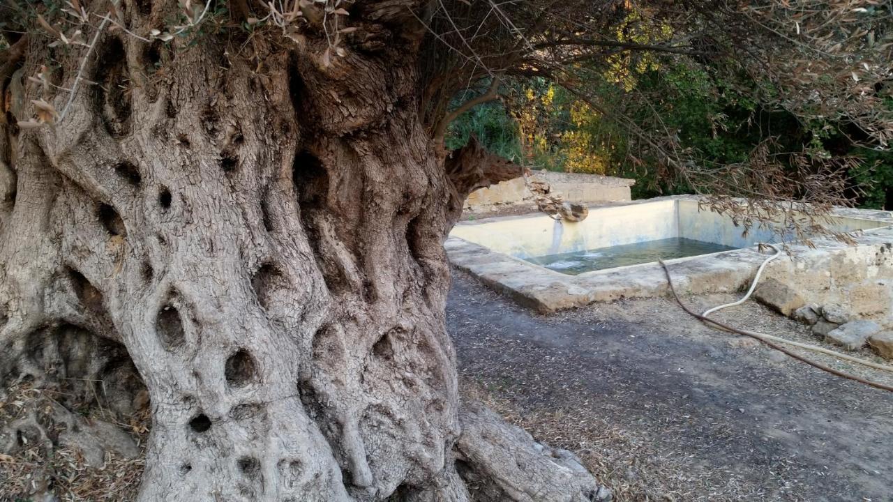 La Villa Di Minerva Agrigente Extérieur photo