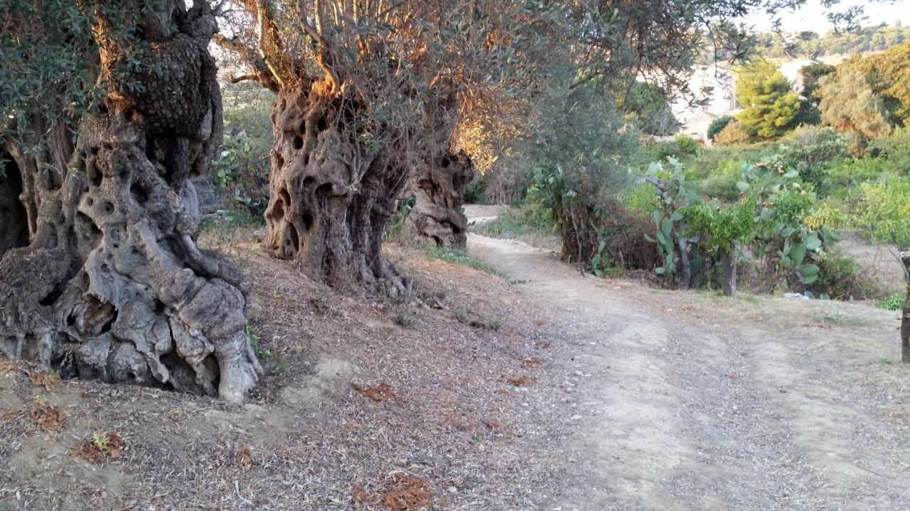 La Villa Di Minerva Agrigente Extérieur photo